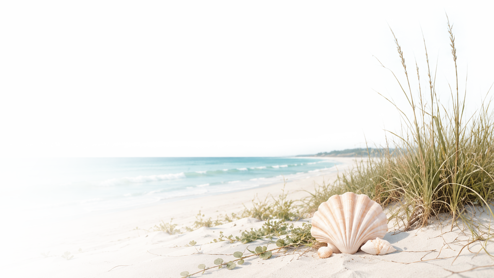 BeachBackgroundOverlay2