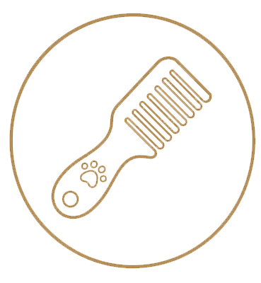 Comb Icon