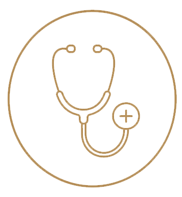 Health Icon
